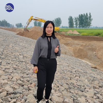 Outdoor Water Proof Gabion Mesh Box 2*1*1m Filled With Stone for Flood Control Retaining Wall