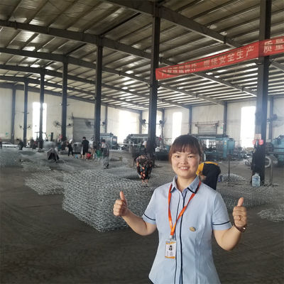 100mm X 120mm Mesh Size Gabion Mesh And Durable With 1.5 Kg/Sqaure Meter Wire Diameter Of 3.0mm