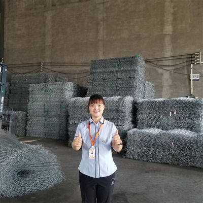 Stainless Steel Woven Gabion Wire Mesh B0x Hydraulic Engineering Rockfall Barrier Rustproof