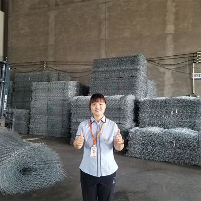 80mm X 100mm Mesh Size Gabion Wire Mesh Durable And 20-30 Years Lifespan For Road Construction