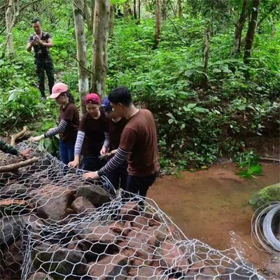 Galvanized Wire 2 X 1 X 1 m Gabion Box Wire Mesh Netting 80 X 100 mm Gabion Basket for Flood Control Project
