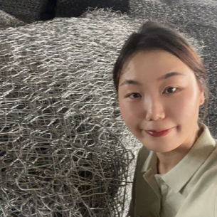 Galvanized Gabion Box Wire Mesh 2m Length Anti Rust Woven