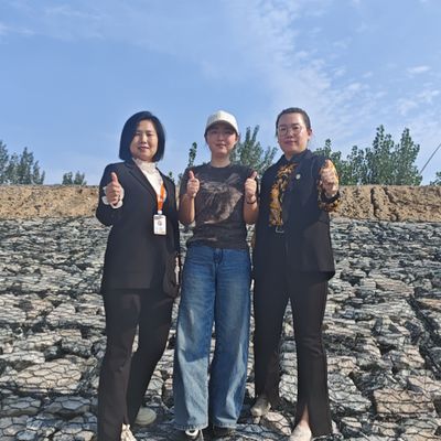 Eco-Friendly Mesh Gabion Stone Wall Galvanized Steel Wire Basket For Landscaping & Erosion Control PH