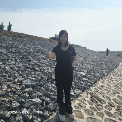 High-Strength Gabion Mattresses with Corrosion Resistance and Hexagonal Hole Shape for River Revetment