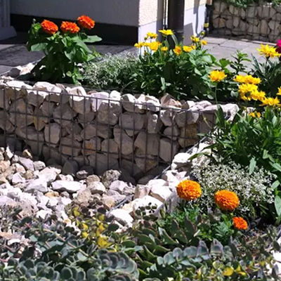 Hot Dip Galvanized Gabion Planter 6x2x1m with 50x50mm Mesh