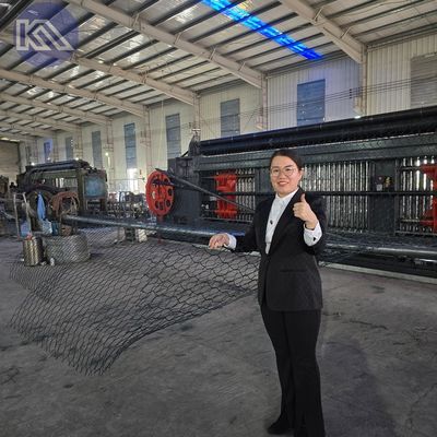 Flexible Pvc Coated Gabion Basket Hexagonal Wire Mesh for Scour and Corrosion Resistance