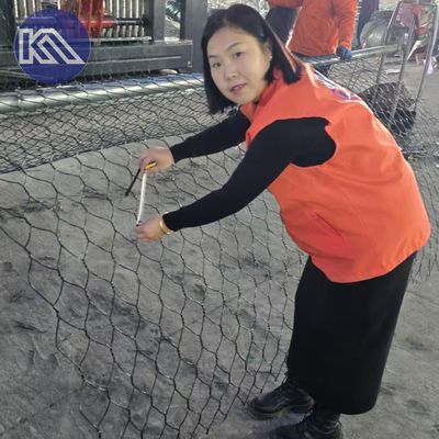 Customizable Hexagonal Gabion Walls For Sale 6mx1mx1m Eco Friendly For Urban Park Slope And Garden Design