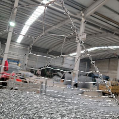 Customized 2 X 1 X 1 m Gabion Box Wire Mesh Netting