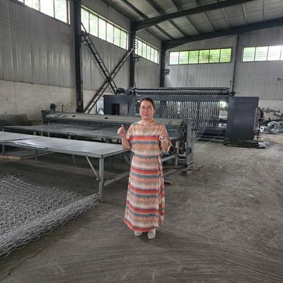 Heavy-Duty Galvanized Gabion Mesh Fence for Retaining Walls