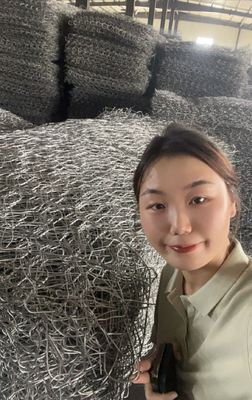 Galvanized Gabion Box Wire Mesh 2m Length Anti Rust Woven