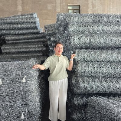 Protect Riverbanks Slopes and Channels with Heavy-Duty Gabion Wire Mesh Wall and Horizontal Stiffeners