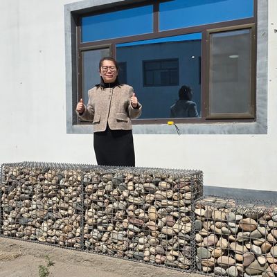 From Wire Mesh Box To Wild Planting A Green Gabion Wall That Lasts