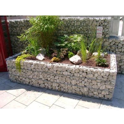 Heavy Duty Galvanized Gabion Wall Planting with 3-6 mm Wire Diameter and 50x50 mm Mesh for Garden Landscape