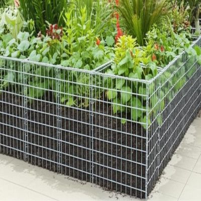 Heavy Duty Galvanized Gabion Wall Planting with 3-6 mm Wire Diameter and 50x50 mm Mesh for Garden Landscape