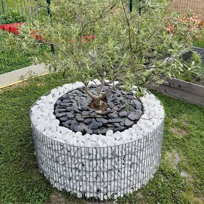 Modern Design Galfan Coated Welded Gabion Planting Box for Garden Landscape