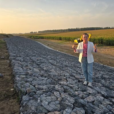 3.0mm Wire Mesh Gabion Box Heavy-Duty Galvanized Gabion for Philippine Flood and Slope Control
