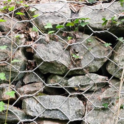 River Bank Protection Twisted Wire Metal Gabions 1m X 1m X 1m Galvanized