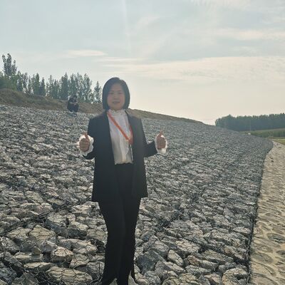 KN Heavy Zinc 2*1*1 Stone Gabion Cages for Reinforced Earth Revetments Project