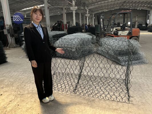 Hot-Dip Galvanized Gabion Basket Box Retaining Wall Hydraulic Sluice Gate Stone Armor Coastal Bank Stabilization